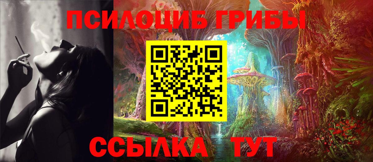 Галлюциногенные грибы Psilocybine cubensis  Вход с VPN  Кохма 