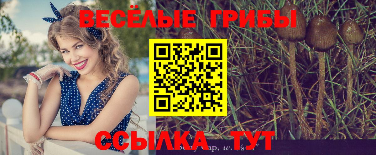 Галлюциногенные грибы Magic Shrooms Кохма